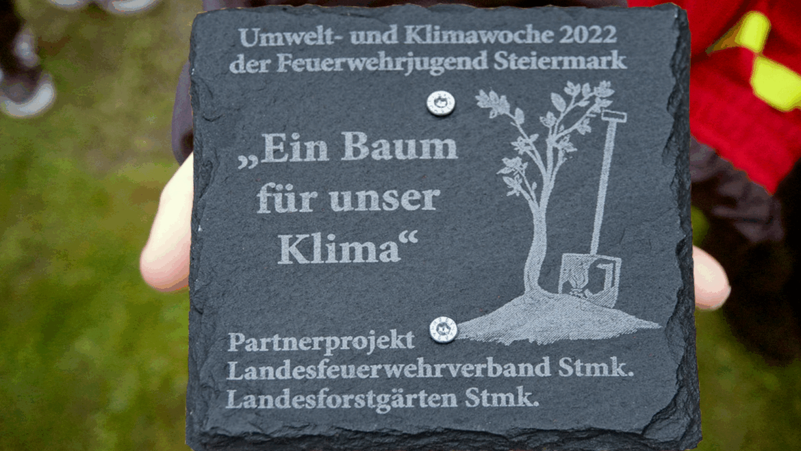 EIN BAUM FÜR UNSER KLIMA