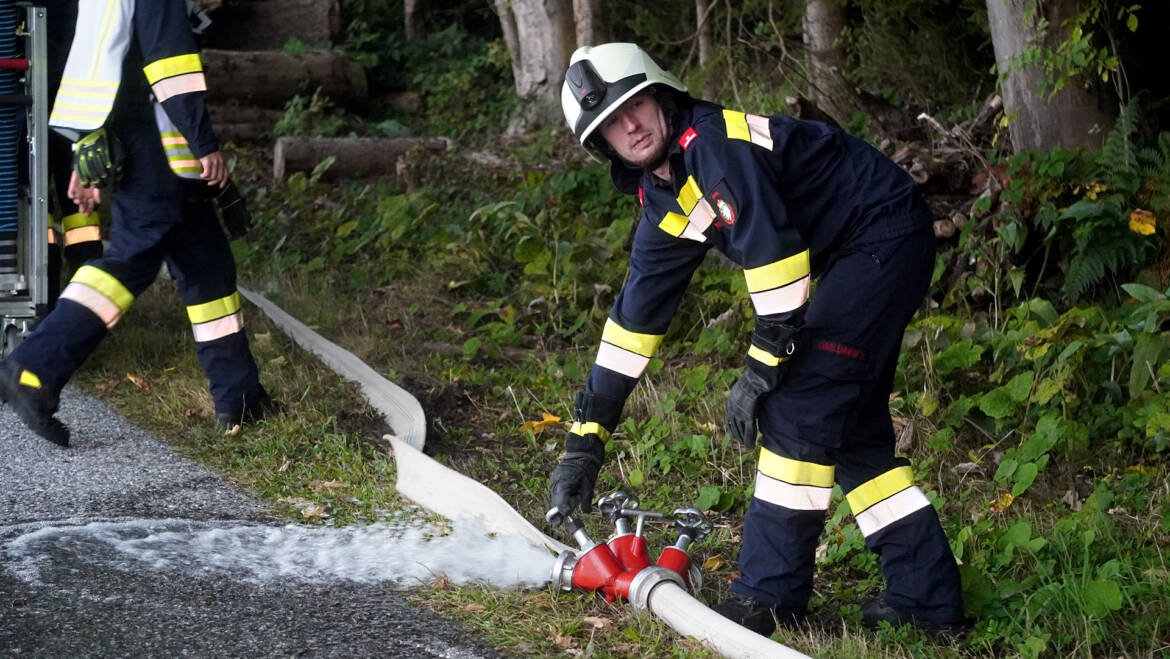 WALDBRAND-ABSCHNITTSALARM